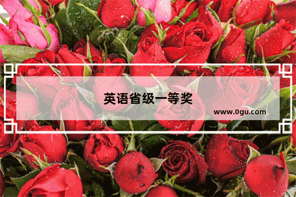 英语省级一等奖