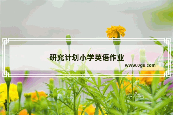 研究计划小学英语作业