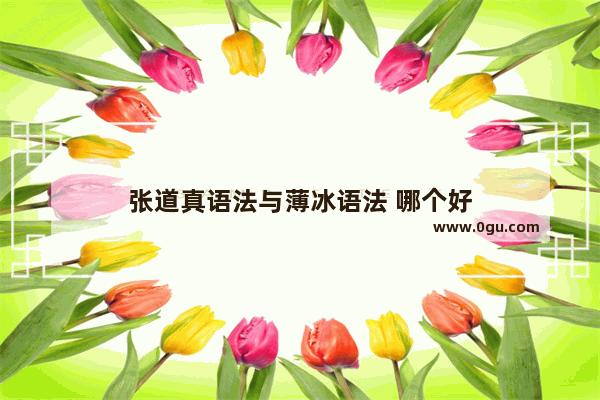 张道真语法与薄冰语法 哪个好