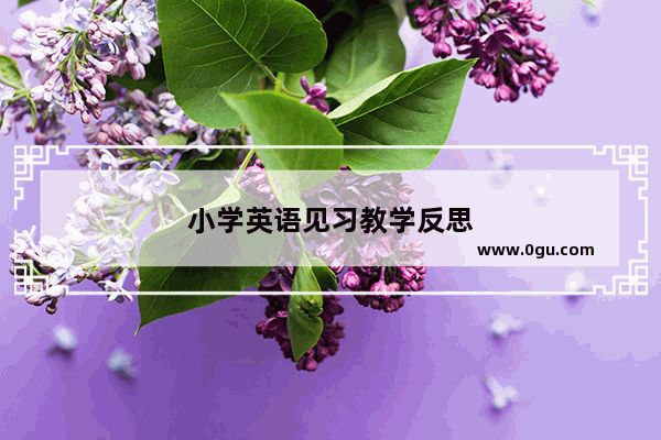 小学英语见习教学反思