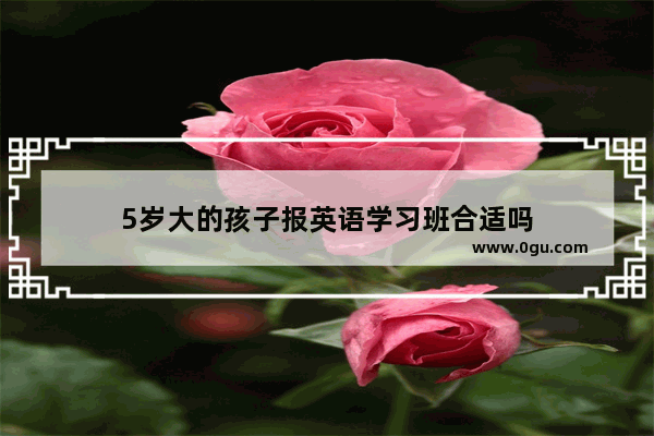 5岁大的孩子报英语学习班合适吗