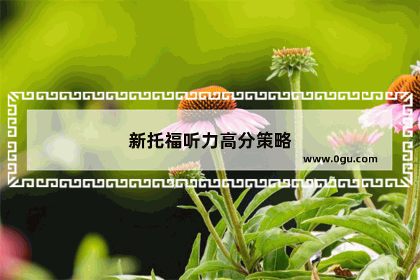 新托福听力高分策略