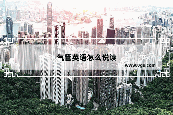 气管英语怎么说读