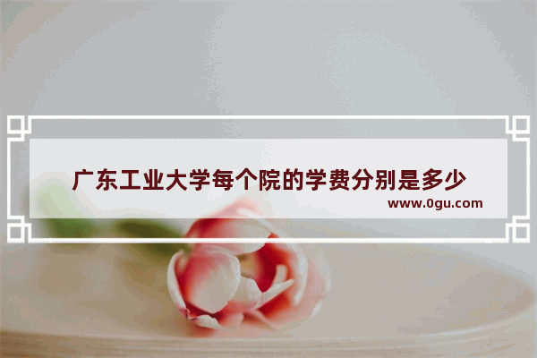 广东工业大学每个院的学费分别是多少