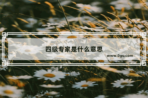 四级专家是什么意思