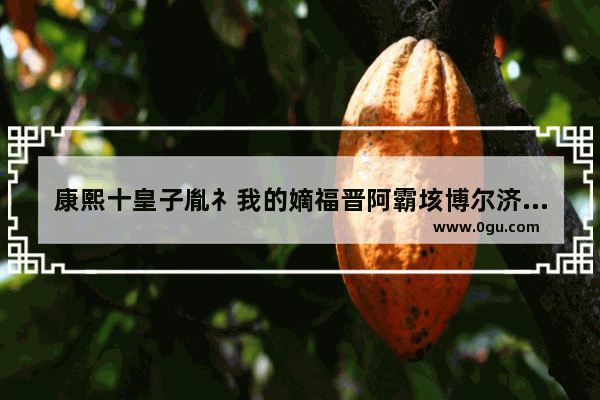 康熙十皇子胤礻我的嫡福晋阿霸垓博尔济吉特氏的生平资料