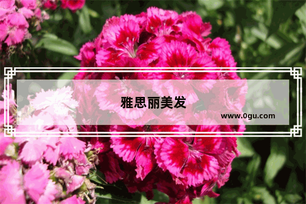 雅思丽美发