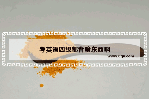 考英语四级都背啥东西啊
