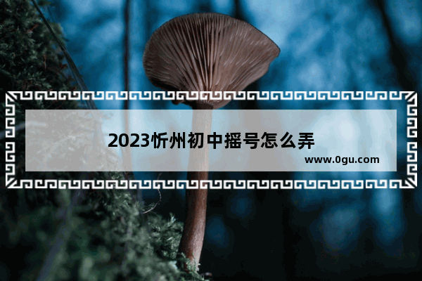 2023忻州初中摇号怎么弄