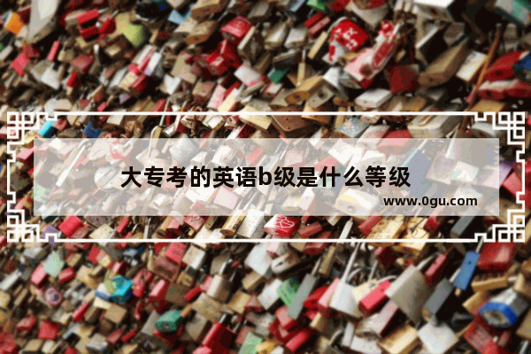大专考的英语b级是什么等级
