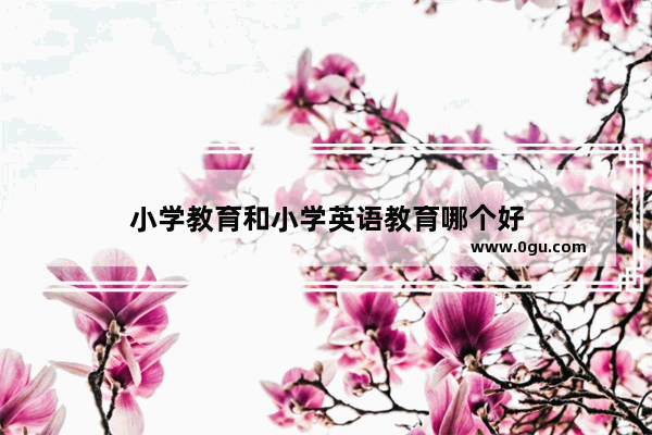 小学教育和小学英语教育哪个好