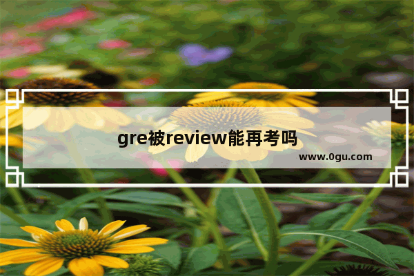 gre被review能再考吗