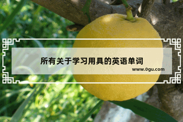 所有关于学习用具的英语单词