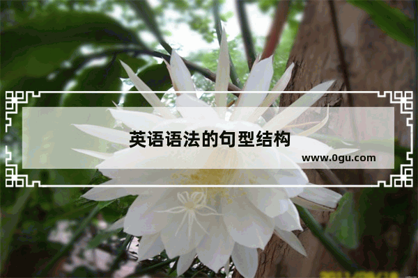 英语语法的句型结构