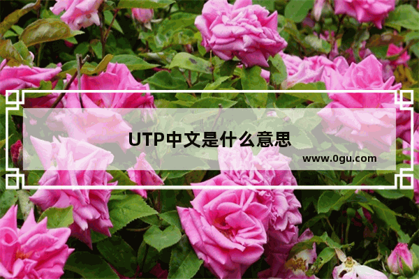 UTP中文是什么意思