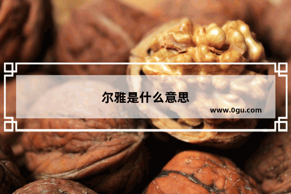 尔雅是什么意思