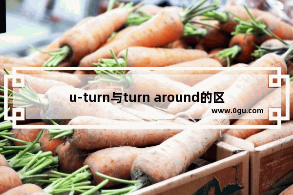 u-turn与turn around的区别