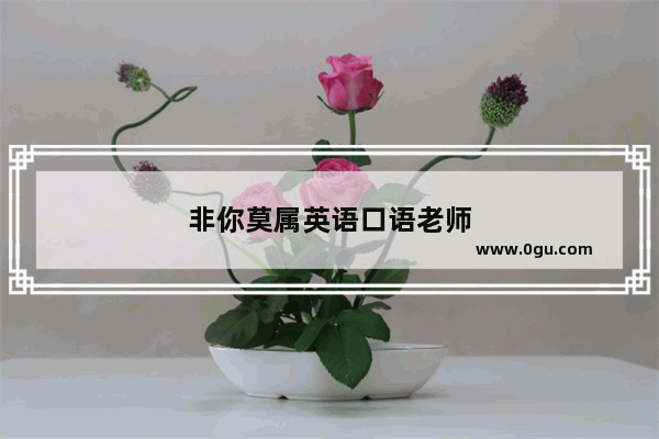 非你莫属英语口语老师