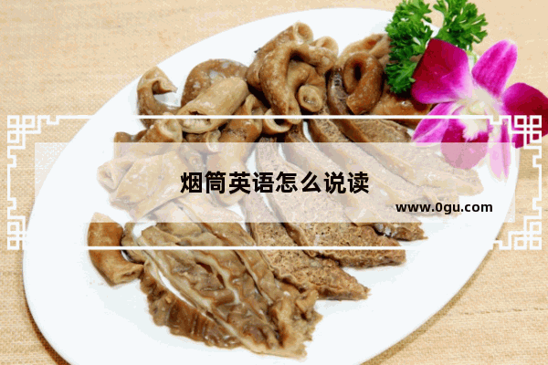 烟筒英语怎么说读