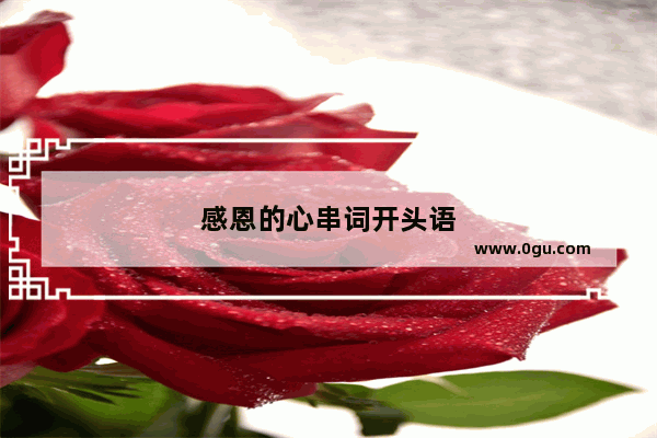 感恩的心串词开头语