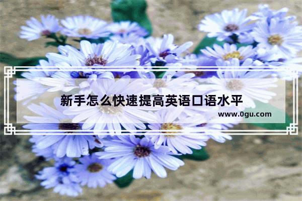 新手怎么快速提高英语口语水平