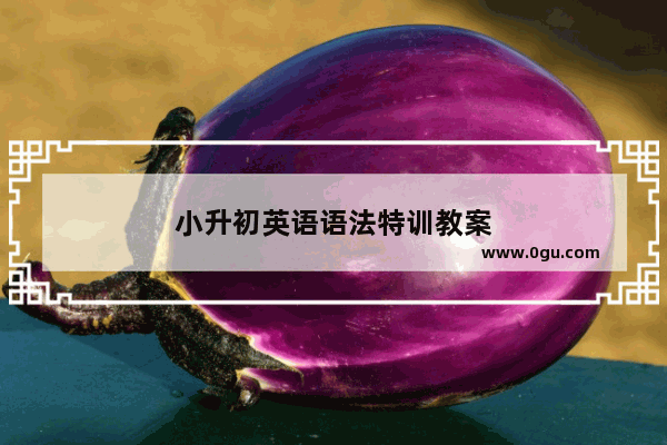 小升初英语语法特训教案