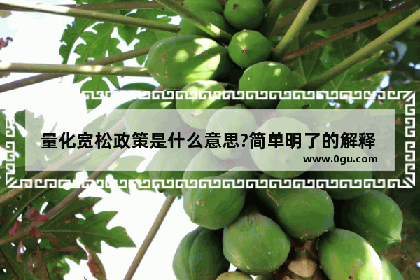 量化宽松政策是什么意思?简单明了的解释 能举例说明一下吗