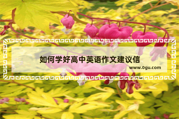 如何学好高中英语作文建议信