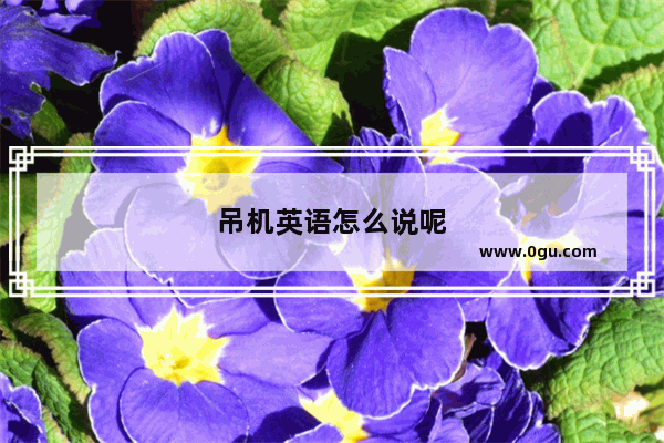吊机英语怎么说呢