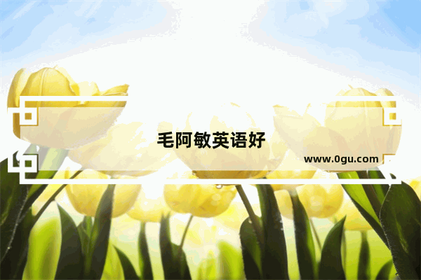 毛阿敏英语好