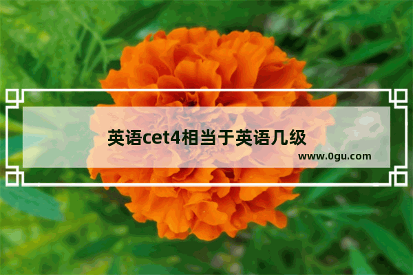英语cet4相当于英语几级