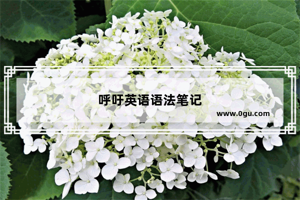 呼吁英语语法笔记