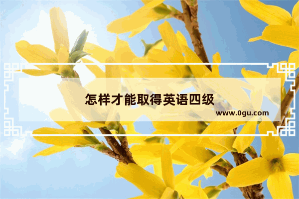 怎样才能取得英语四级