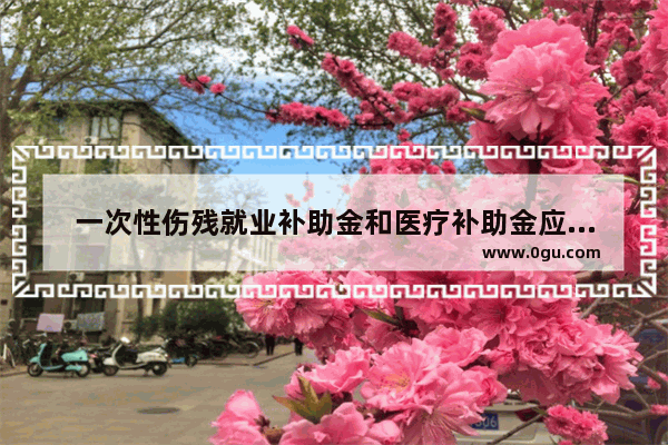 一次性伤残就业补助金和医疗补助金应该是多少