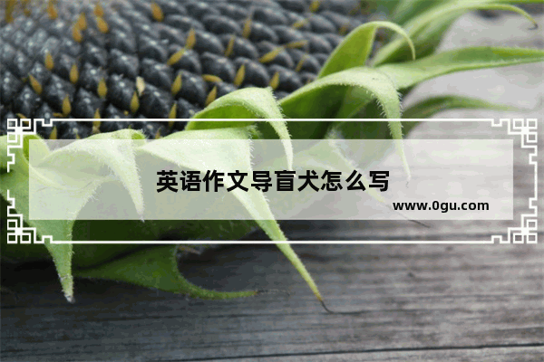 英语作文导盲犬怎么写