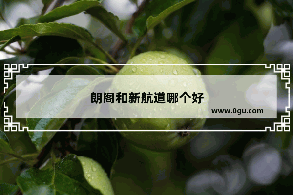 朗阁和新航道哪个好
