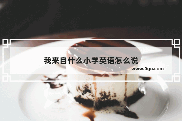 我来自什么小学英语怎么说