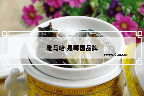 雅马哈 是哪国品牌