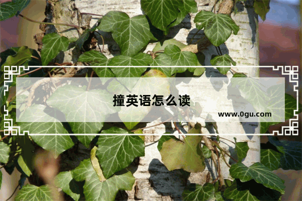 撞英语怎么读