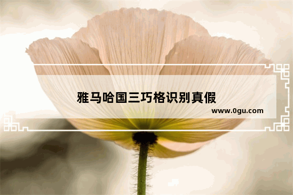 雅马哈国三巧格识别真假