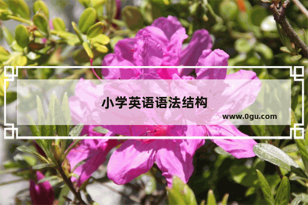 小学英语语法结构