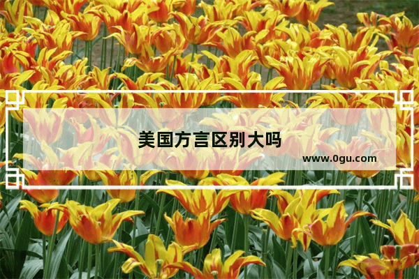 美国方言区别大吗