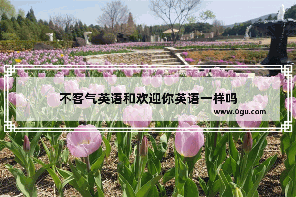 不客气英语和欢迎你英语一样吗