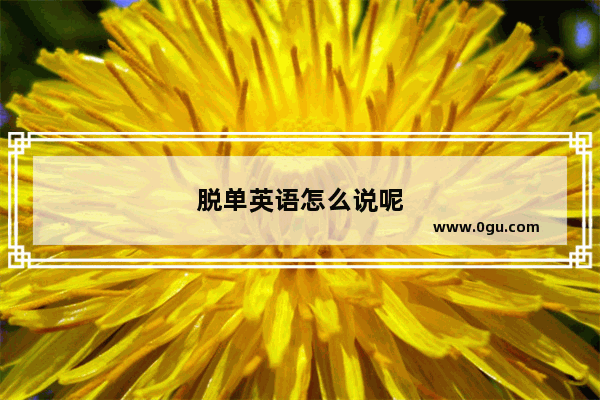 脱单英语怎么说呢