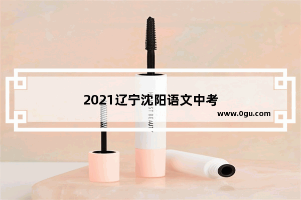 2021辽宁沈阳语文中考