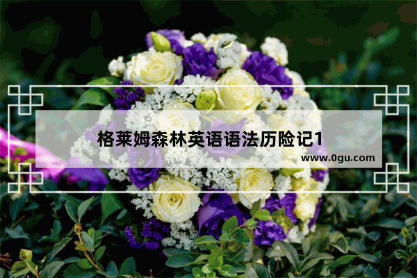 格莱姆森林英语语法历险记1