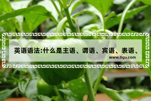英语语法:什么是主语、谓语、宾语、表语、定语、状语、补语