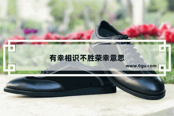 有幸相识不胜荣幸意思