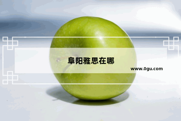 阜阳雅思在哪