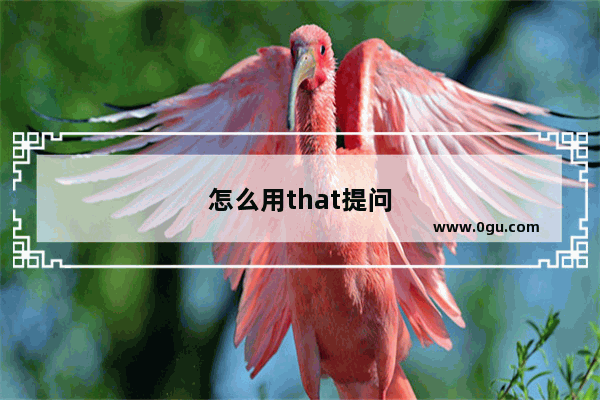 怎么用that提问